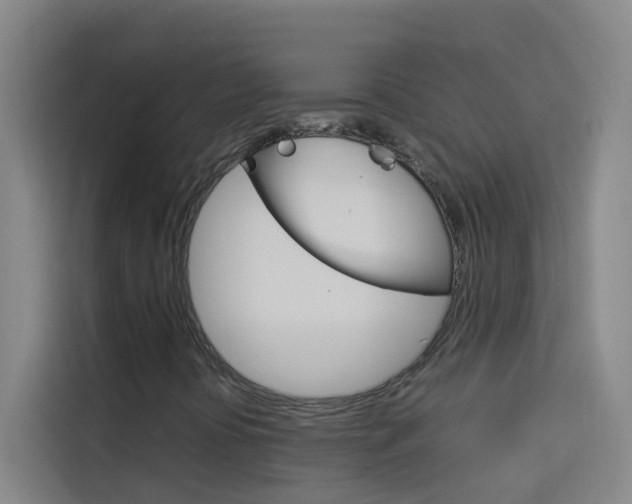X0000114171394200910081104