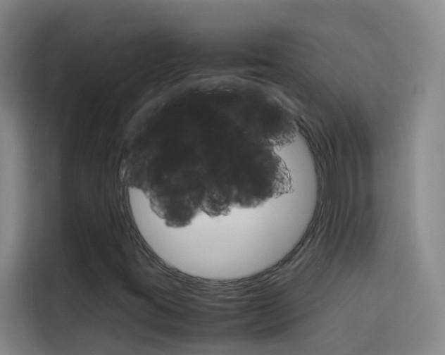 X0000114171395200910081104