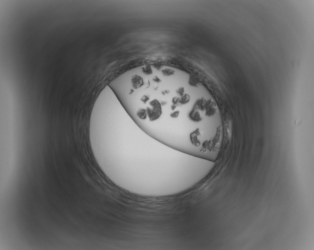 X0000114171396200910081104