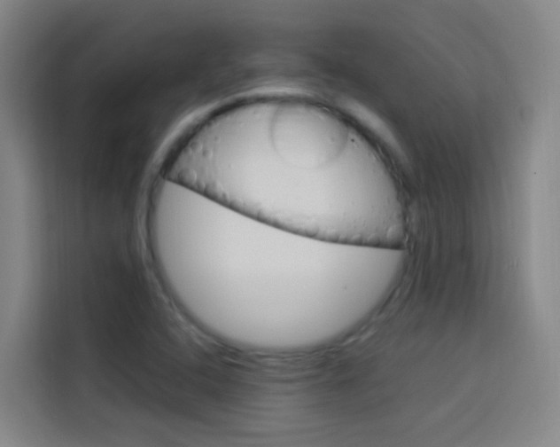 X0000114171408200910081104