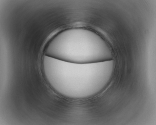 X0000114171410200910081104
