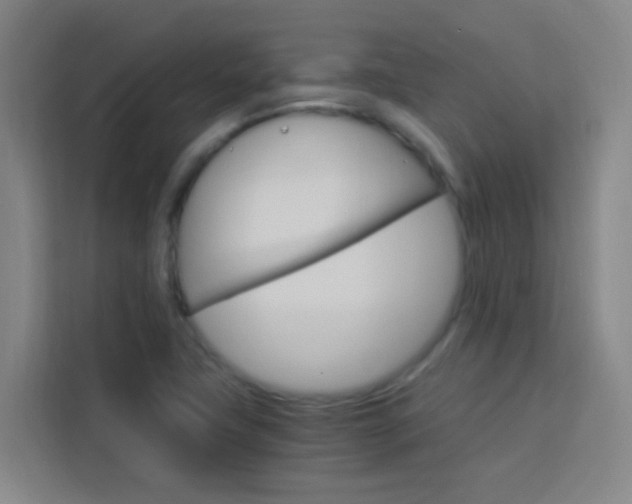 X0000114171411200910081104
