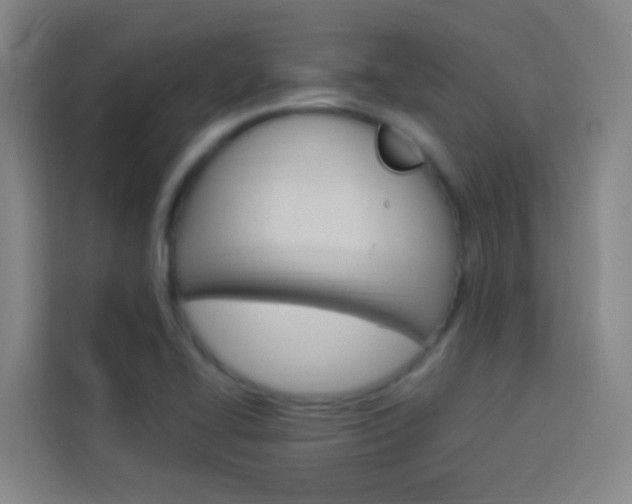X0000114171414200910081104