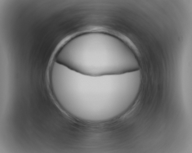 X0000114171424200910081104