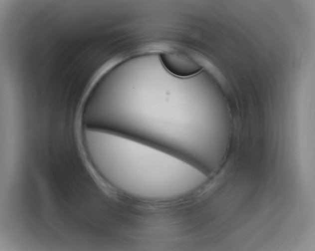 X0000114171426200910081104