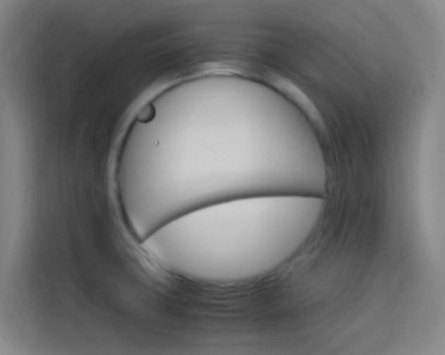 X0000114171427200910081104