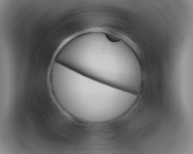 X0000114171428200910081104