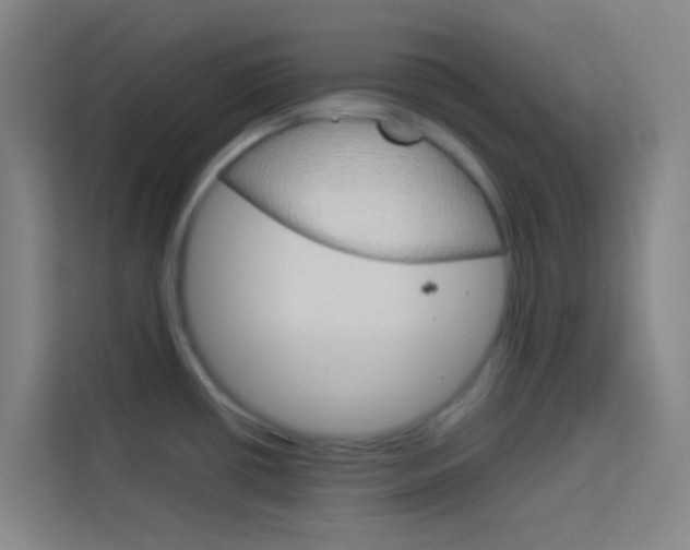 X0000114171434200910081104