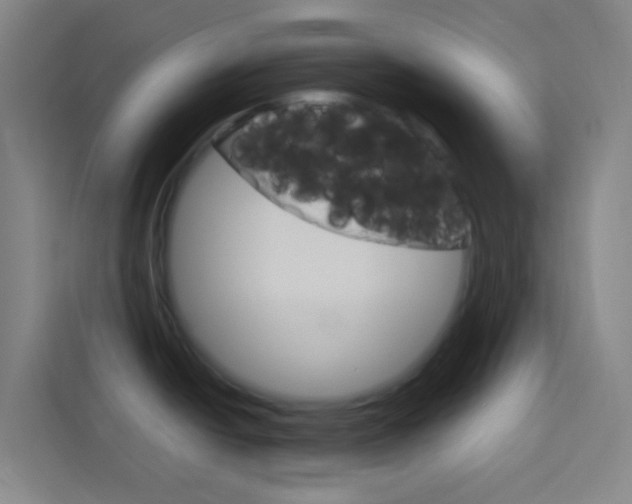 X0000114171438200910081104