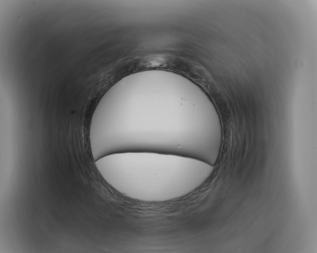 X0000114171442200910081104