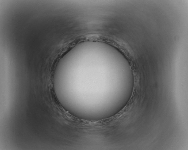 X0000114171445200910081104