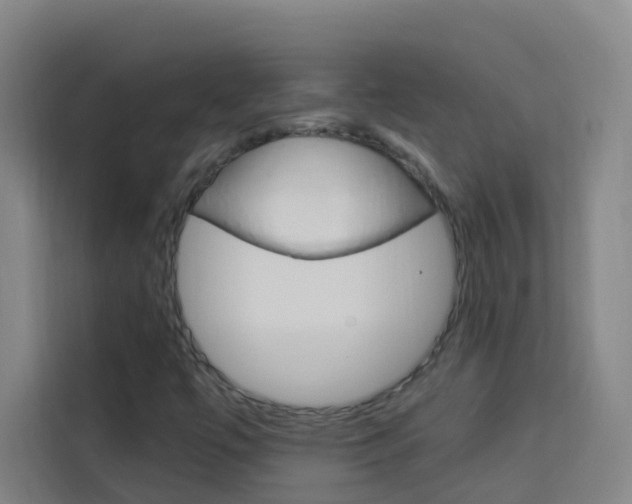 X0000114171447200910081104