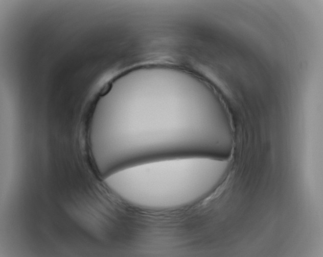 X0000114171455200910081104