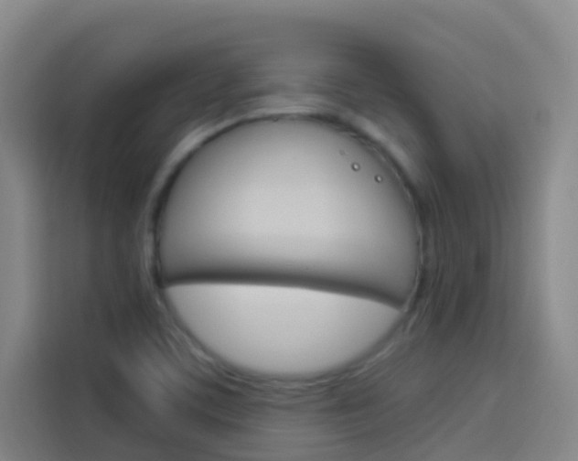 X0000114171459200910081104