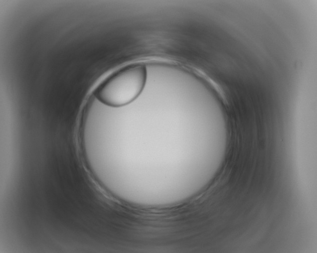 X0000114171460200910081104