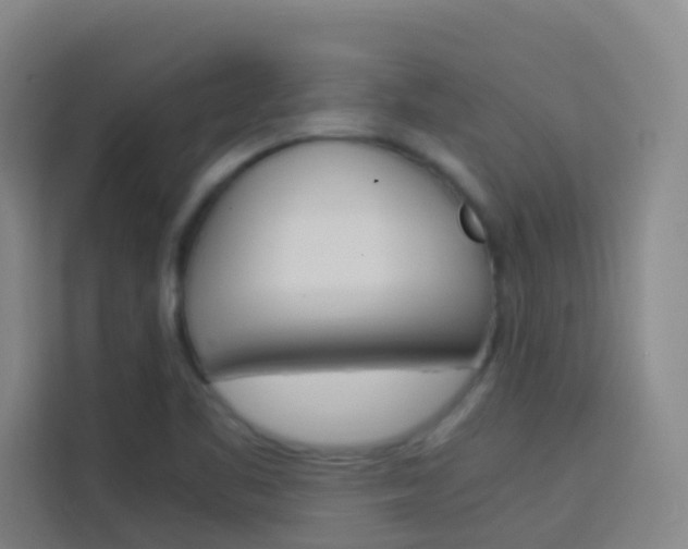 X0000114171461200910081104