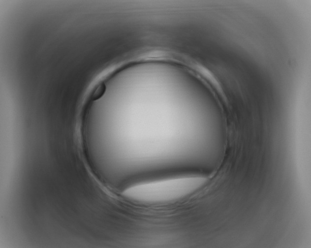 X0000114171464200910081103