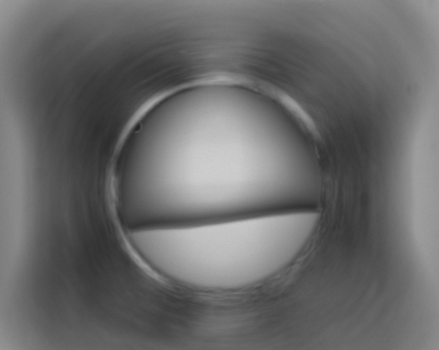 X0000114171476200910081103