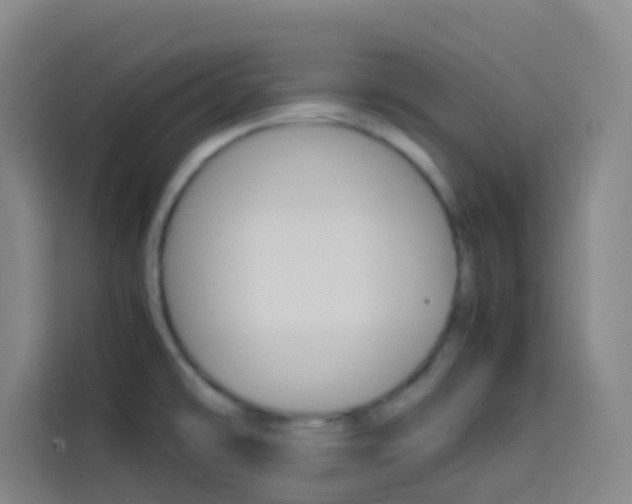 X0000114171478200910081103