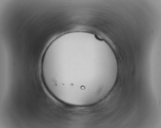 X0000114171479200910081103