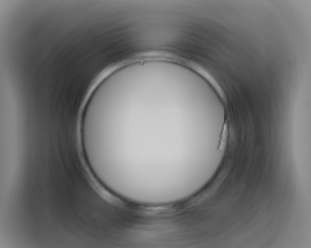 X0000114171482200910081103