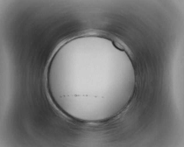 X0000114171483200910081103