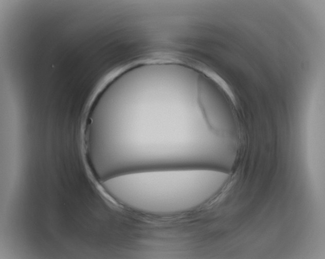 X0000114171485200910081103