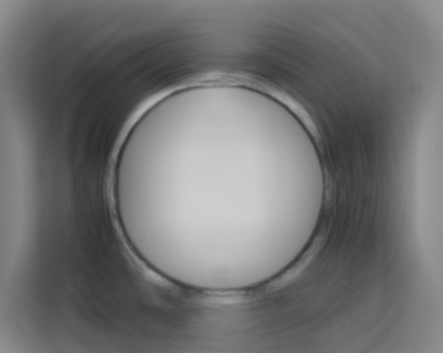 X0000114171486200910081103