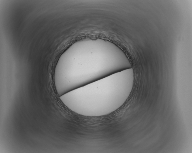 X0000114171489200910081103