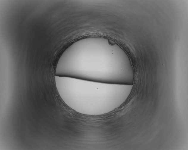 X0000114171490200910081103
