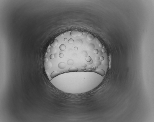 X0000114171491200910081103