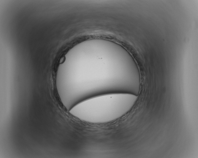 X0000114171493200910081103
