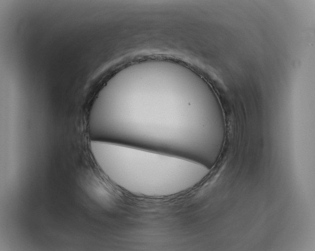 X0000114171494200910081103