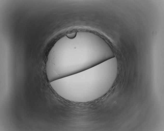 X0000114171495200910081103