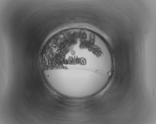 X0000114171498200910081103
