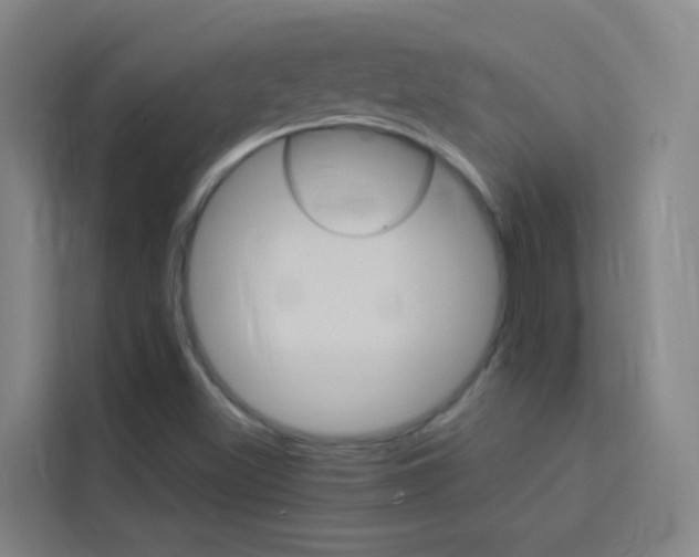 X0000114171500200910081103