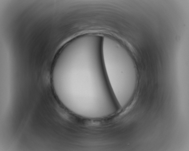 X0000114171505200910081103