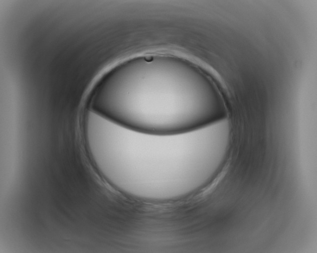 X0000114171506200910081103