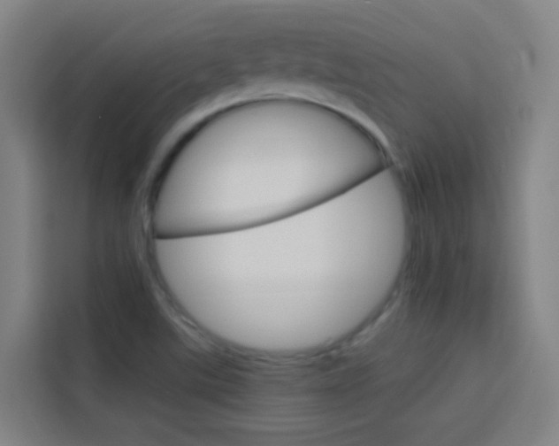 X0000114171507200910081103