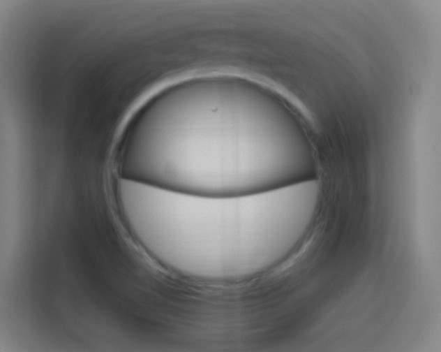 X0000114171510200910081103