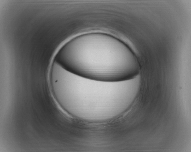 X0000114171516200910081103
