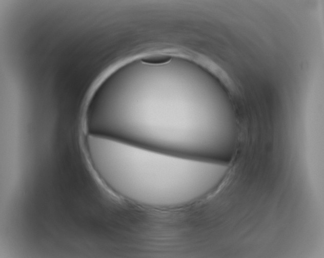 X0000114171520200910081103