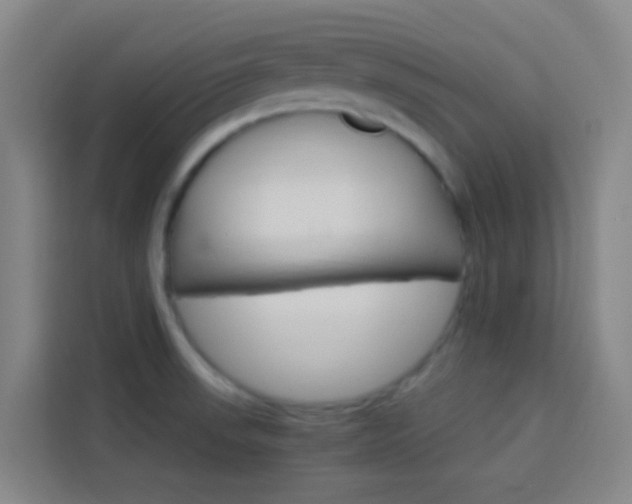X0000114171523200910081103