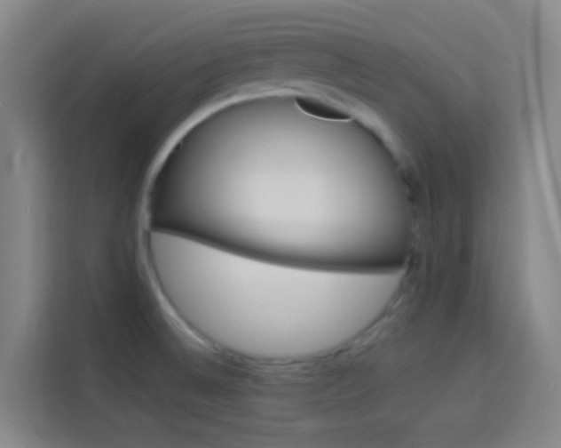 X0000114171524200910081103