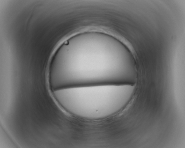 X0000114171525200910081103