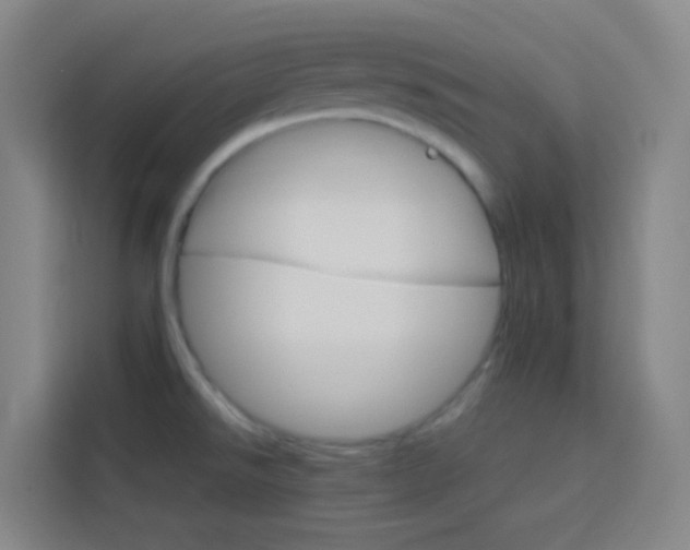 X0000114171526200910081103