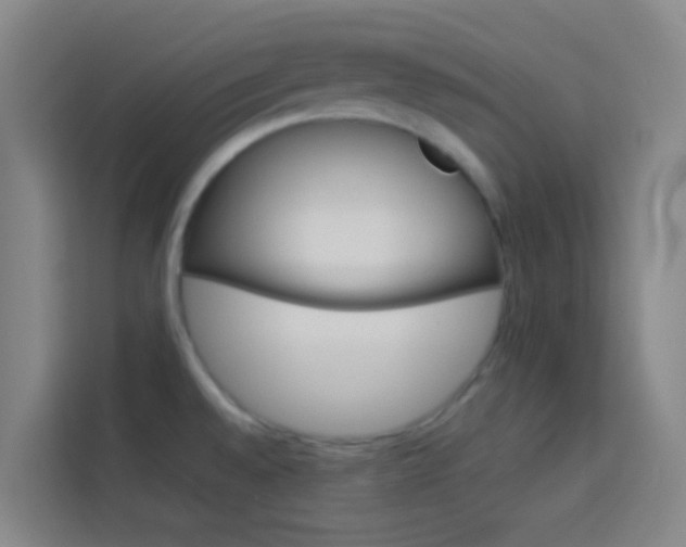X0000114171528200910081103