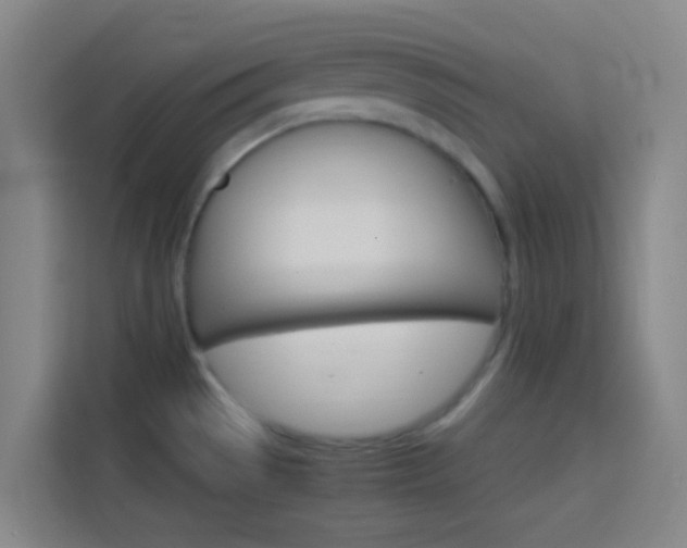 X0000114171529200910081103
