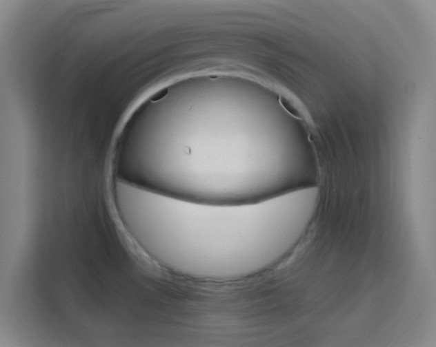 X0000114171530200910081103