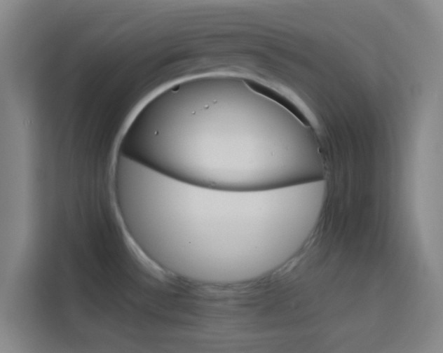 X0000114171532200910081103